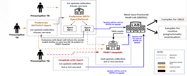 TB Diagnostic Series