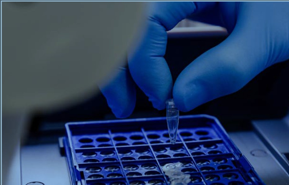Strengthening Africa’s Laboratory Response